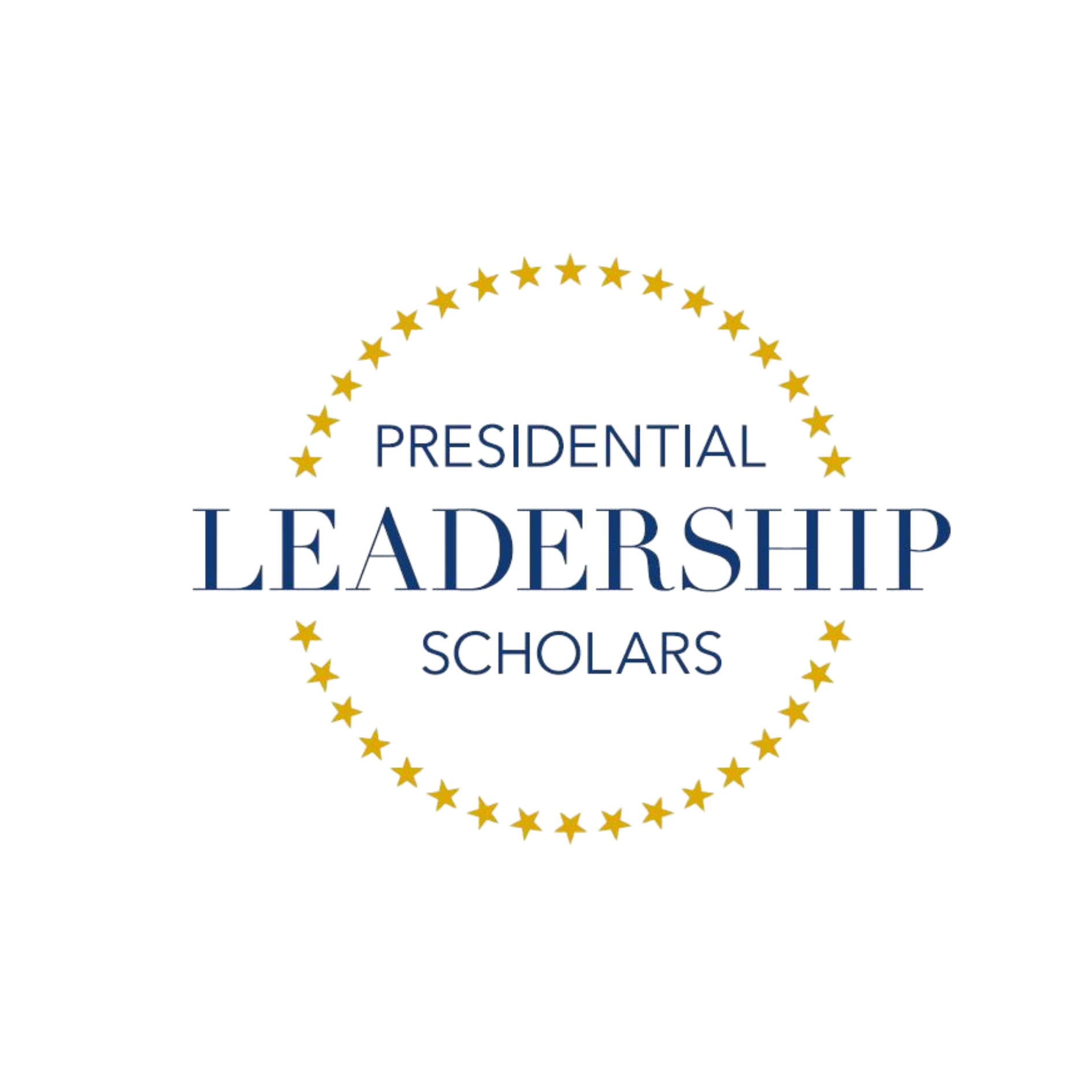 Logo for the Provisional Leaders-Schools program, featuring a colorful ferris wheel with stars and the text 'Provisional Leaders-Schools' underneath.